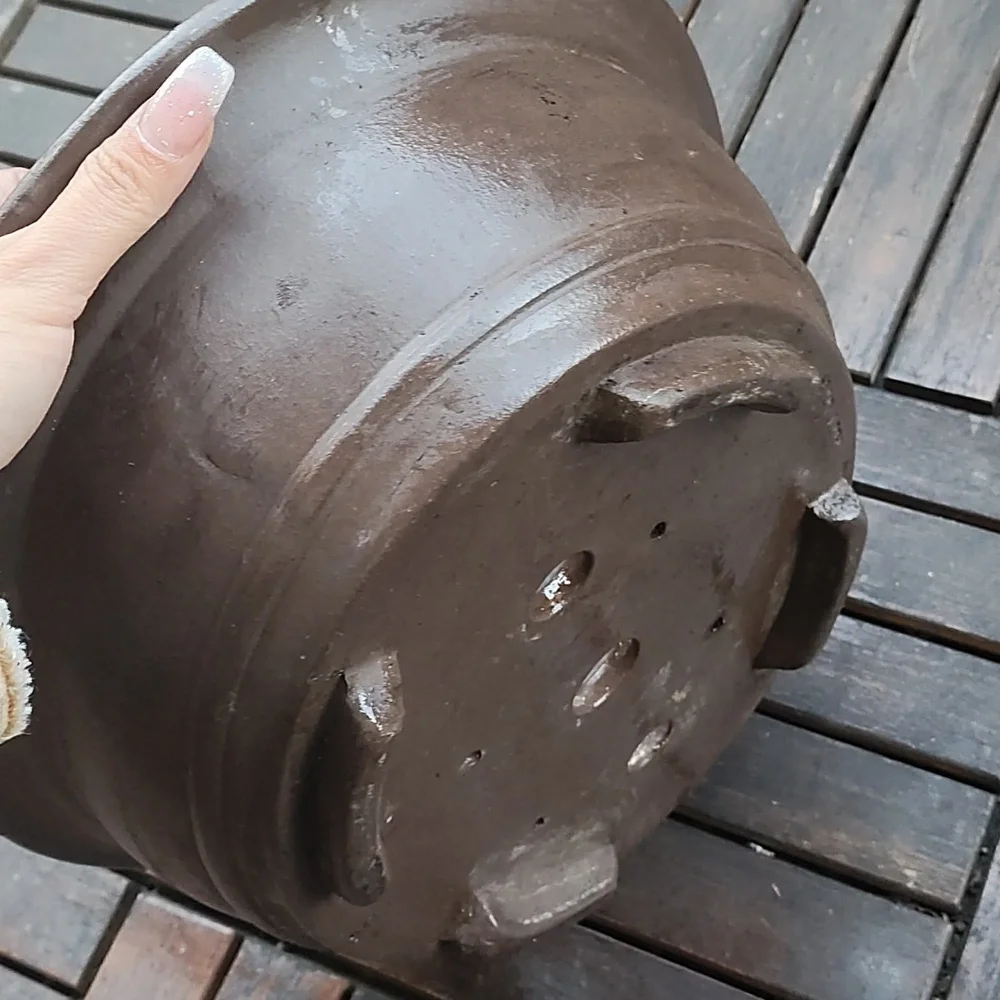 Large Bonsai Pot planter-oval Shape - Picture 6 of 7